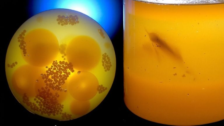 aerobic anaerobic detergent biodegradation comparison