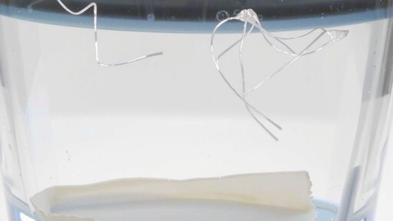 biodegradable detergents reduce microplastic release