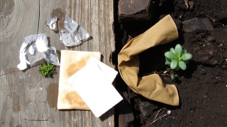 biodegradable versus compostable packaging