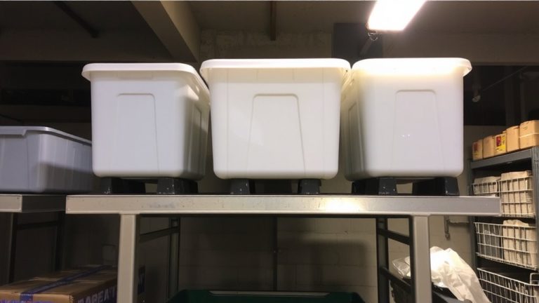 elevate bins to prevent moisture
