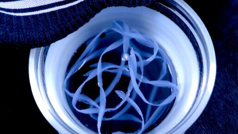 fabric construction microplastic shedding