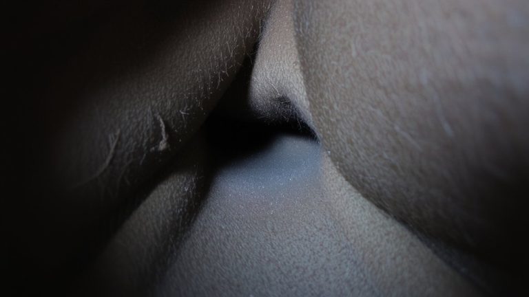 larval tunneling under lining