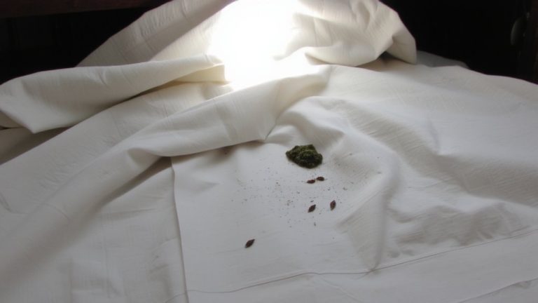 mold mildew damage risk