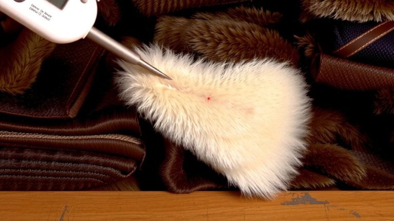 monthly fur inspection