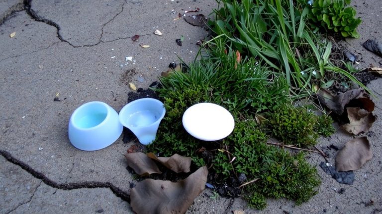 partially biodegradable ingredients compromise eco goals