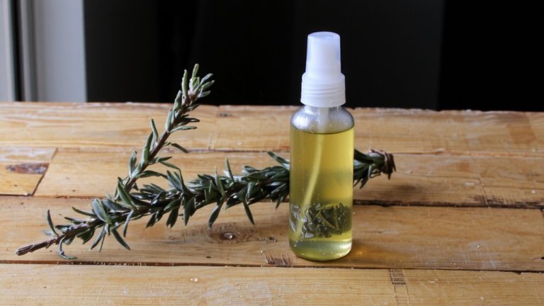 rosemary eucalyptus moth spray