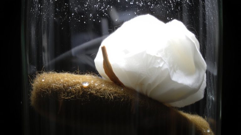 wool requires greater airflow